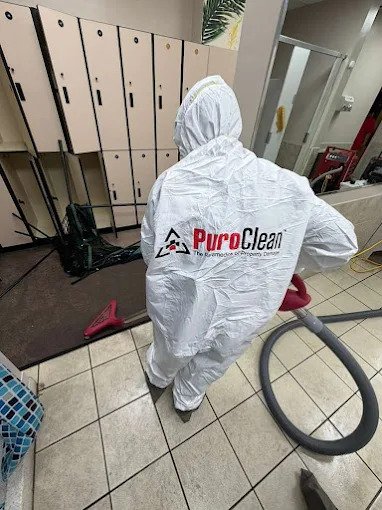 The Ultimate Guide to Mold Removal in Uniondale: Protect Your Home & Health Today